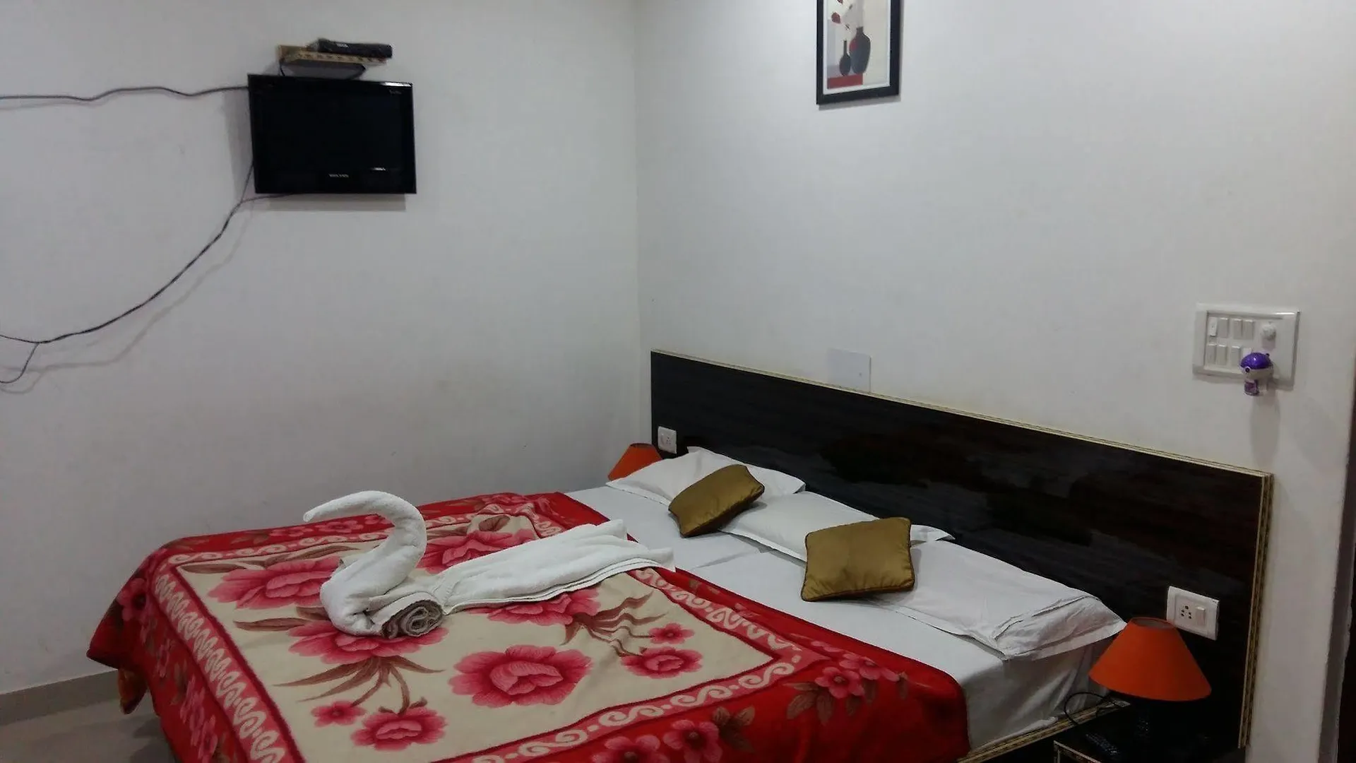 Hotel Safari Agra  India